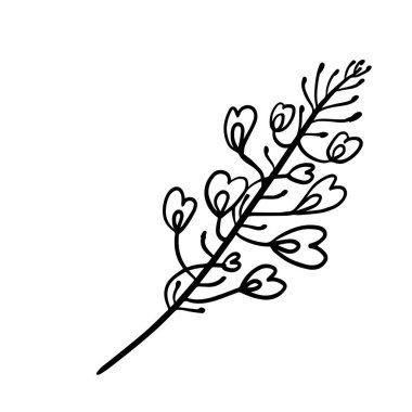 Renkler için renkli siyah beyaz desenler. Papatya çiçeği çizimi. Çocuklar ve yetişkinler için boyama sayfaları. Vektör görüntüsü. Düğün dekorasyonu. Devre.