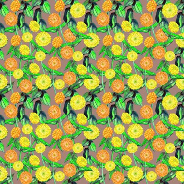 Parlak renkli çiçeklerin kusursuz deseni. Zinnia çiçekleri. Yumuşak turuncu ve kırmızı suluboya yıldız çiçeği, zinya. Yaz çiçekleri. düğün davetiyesi, tebrik kartı, hatıra defteri, baskı.