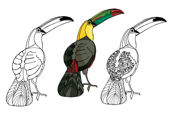 Vector hand-drawn toucan. Hand drawing coloring book for children and adults. Beautiful drawings. — Stockvektor