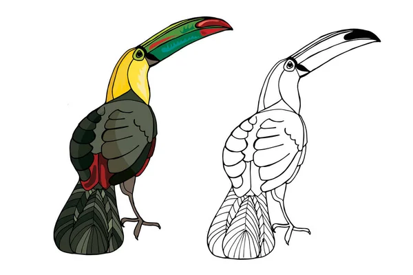 Vector hand-drawn toucan. Hand drawing coloring book for children and adults. Beautiful drawings. — Vector de stock