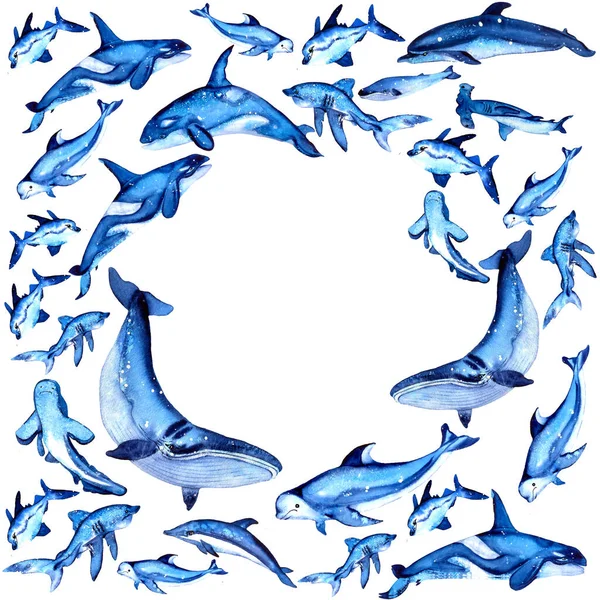 Cornice rotonda con creature marine. Acquerello. Balena disegnata a mano, squalo, delfino, orca, pesce, beluga — Foto Stock