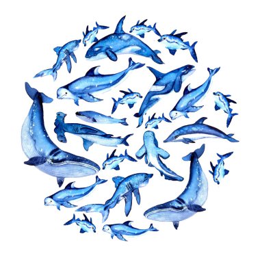 Deniz hayvanları daireler çiziyor. Mavi köpekbalığı, suluboya el çizimi. Yaz havası, deniz, okyanus.