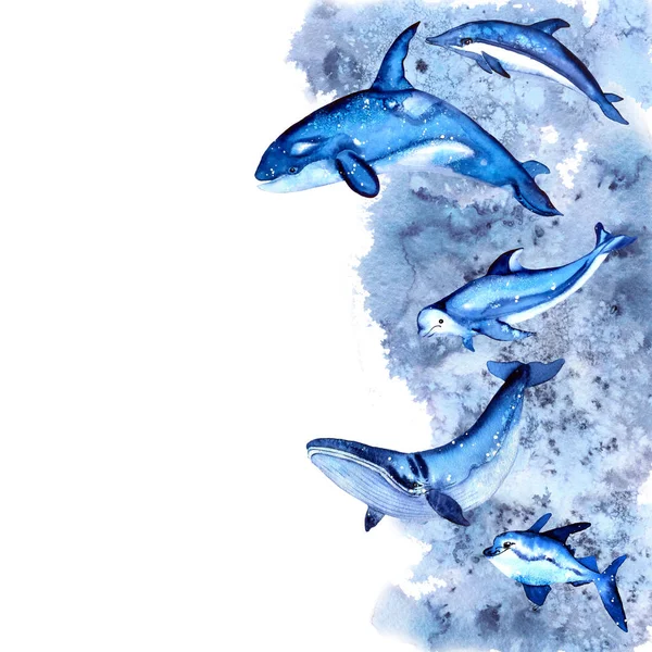 Cadre Avec Vie Marine Aquarelle Baleine Dessinée Main Requin Dauphin — Photo