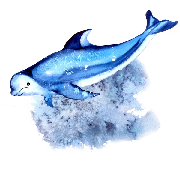 海豚在白色背景上被隔离 水彩画夏天的心情 蓝色调的海洋和海洋生物 设计邀请函 儿童相册 纺织品 玻璃窗 剪贴簿 — 图库照片