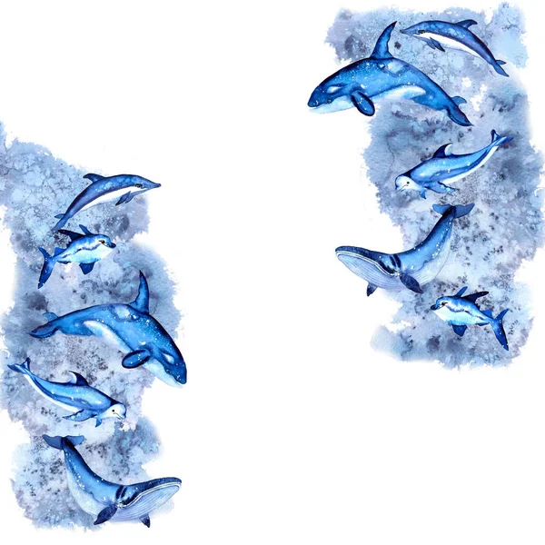Рамка Морской Жизнью Акварель Кит Акула Дельфин Косатка Рыба Белуга — стоковое фото