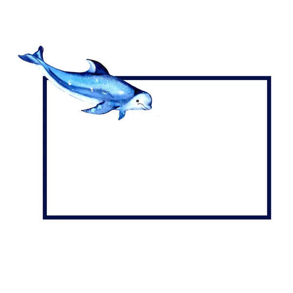 Requin Bleu Dauphin Aquarelle Illustration Dessinée Main Cadre Rectangulaire Humeur — Photo