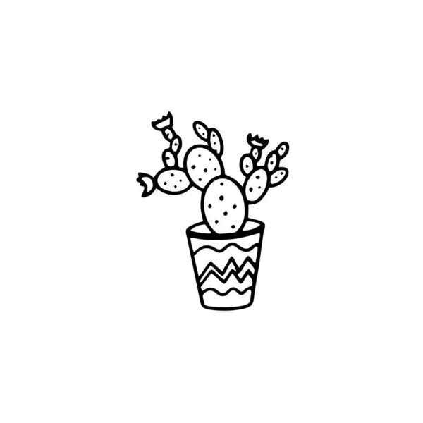 Zimmerpflanze Isoliert Auf Weißem Hintergrund Kaktus Zimmerblume Topf Ein Handgezeichnetes — Stockvektor