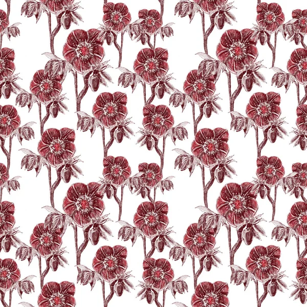 Бесшовный Шаблон Соцветия Бутоны Листья Цветочные Элементы Дизайна Ботаническая Иллюстрация — стоковый вектор