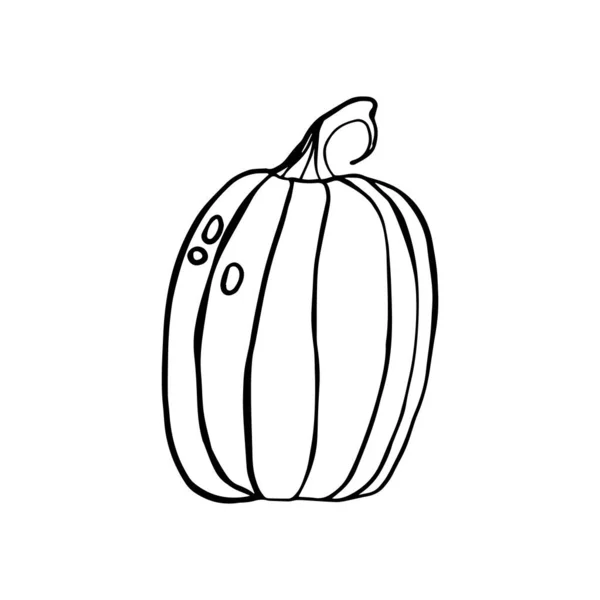 Dibujo de calabaza - ilustración vectorial en blanco y negro. Ilustración vectorial de alimentos. — Archivo Imágenes Vectoriales