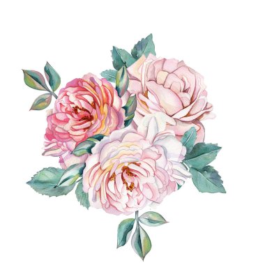Tozlu pembe ve kremalı güller, yeşil yapraklar. Düğün buketi tasarımı. Çiçekli suluboya boya. Bahar buketi. Düğün ya da kartpostal için hoş bir illüstrasyon. Çiçek dalları beyazlar üzerinde izole.