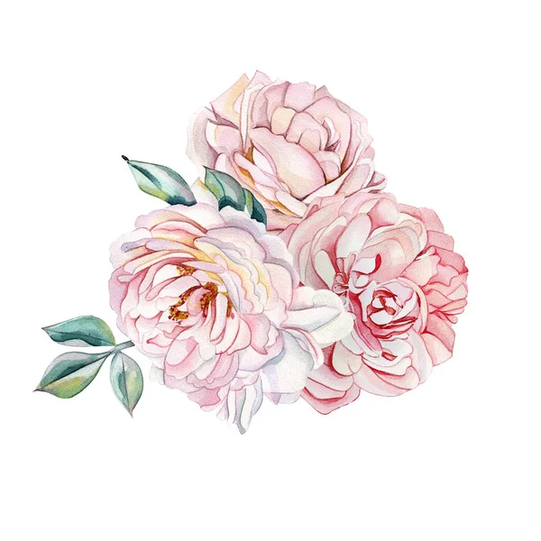 Dusty pink and cream roses, green leaves. Wedding bouquet design. Floral pastel watercolor style. Spring bouquet. Cute illustration for a wedding or postcard. Branch of flowers isolated on white