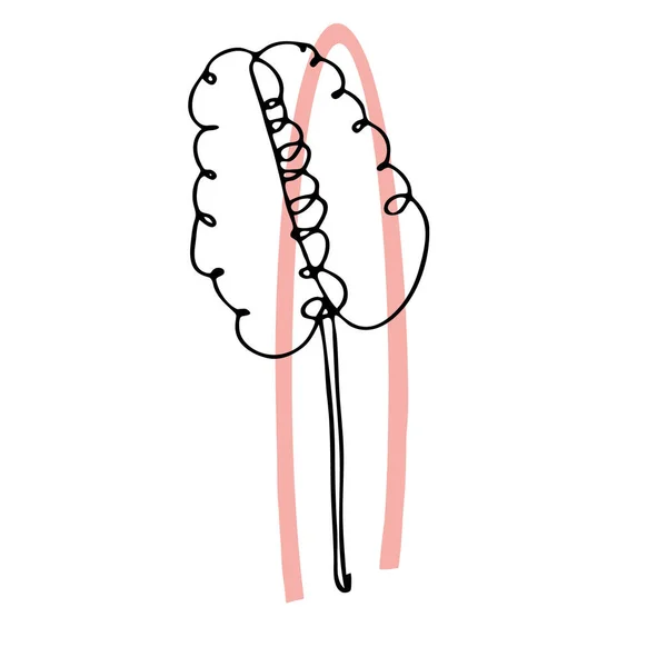 Абстрактная Композиция Листом Одна Сплошная Линия Одна Линия Рисунка Органический — стоковый вектор