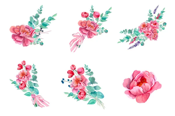 Півонія Колекція Акварельних Ручних Романтичних Квітів Колекція Ботанічних Елементів Ідеально — стокове фото