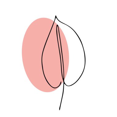 Yapraklı soyut kompozisyon. Sürekli bir çizgi, tek bir çizim sanatı, organik tasarım, rastgele düzensiz şekilli soyut çizgi. Kartpostal için. Bohem posteri, ev dekorasyonu.