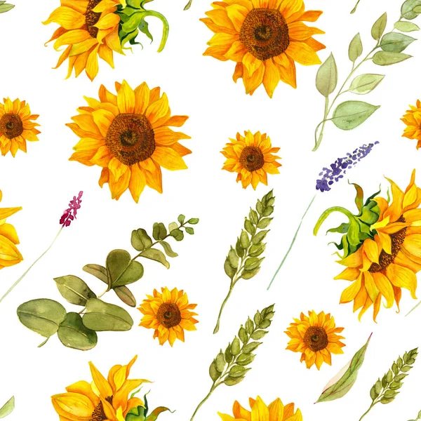 Pola yang mulus dengan bunga matahari, cabang, daun eukaliptus, gandum, bunga liar. — Stok Foto