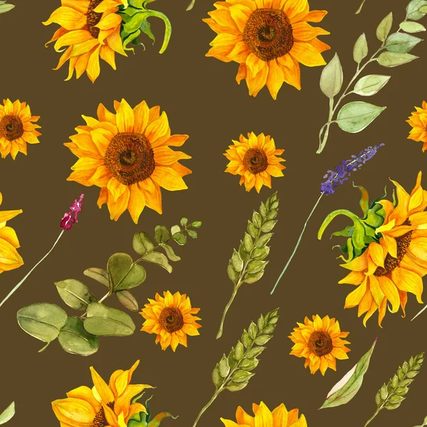 Pola yang mulus dengan bunga matahari, cabang, daun eukaliptus, gandum, bunga liar. — Stok Foto