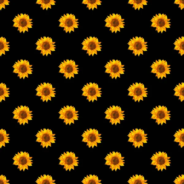 Απρόσκοπτη μοτίβο με ηλιοτρόπια σε μαύρο φόντο. Βοτανική ζωγραφική, floral φόντο, εικονογράφηση αρχείου. — Φωτογραφία Αρχείου