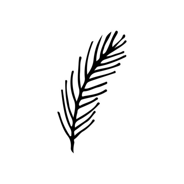 Ilustrace Smrkové Větve Doodle Ručně Kreslená Ikona Smrkové Větve Vektoru — Stockový vektor