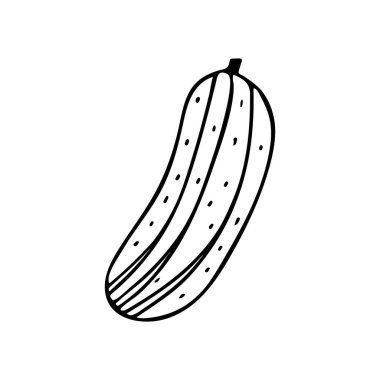 Salatalık çizimi vektörde. El çizimi salatalık çizimi. Salatalık karalama simgesi