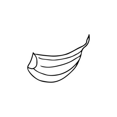 Vektörde sarımsak karalaması. Elle çizilmiş sarımsak. Vektörde elle çizilmiş sarımsak çizimi.