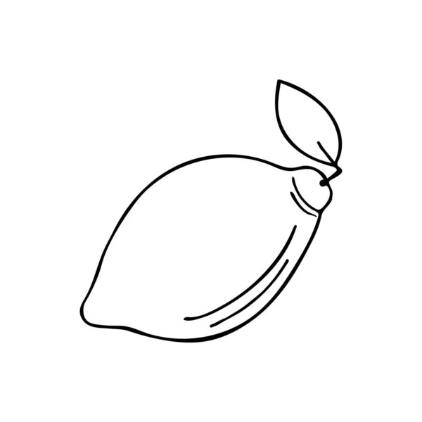 Χειροποίητη Απεικόνιση Λεμονιού Διάνυσμα Εικονογράφηση Doodle Λεμόνι Διάνυσμα — Διανυσματικό Αρχείο