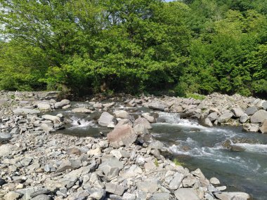 Yeşil dağları ve dağ nehri olan güzel doğa manzarası. Dağ nehri, kayalar ve yeşil orman.