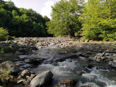 Yeşil dağları ve dağ nehri olan güzel doğa manzarası. Dağ nehri, kayalar ve yeşil orman.