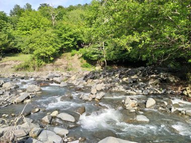 Yeşil dağları ve dağ nehri olan güzel doğa manzarası. Dağ nehri, kayalar ve yeşil orman.