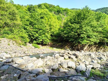 Yeşil dağları ve dağ nehri olan güzel doğa manzarası. Dağ nehri, kayalar ve yeşil orman.