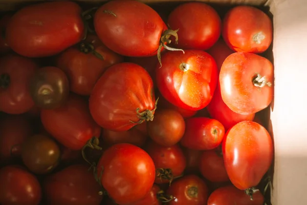 Caja Cartón Con Tomates Rojos — Foto de Stock