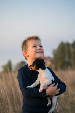 Tatlı çocuk çayırda köpeğiyle oynuyor. Küçük köpek yavrusu Jack Russell sahibi ile yürüyüşe çıktı..