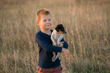 Tatlı çocuk çayırda köpeğiyle oynuyor. Küçük köpek yavrusu Jack Russell sahibi ile yürüyüşe çıktı..