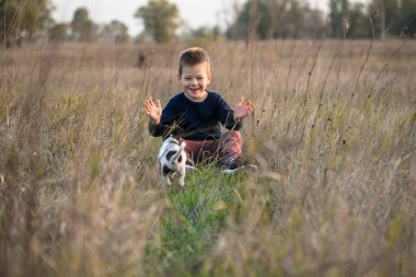Tatlı çocuk çayırda köpeğiyle oynuyor. Küçük köpek yavrusu Jack Russell sahibi ile yürüyüşe çıktı..