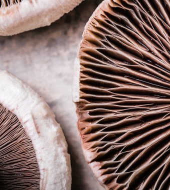 Kesme tahtasında taze beyaz şampiyon mantarları.