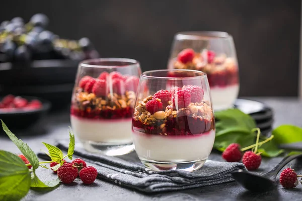 Raspberry Panna Cotta — Stock Photo, Image