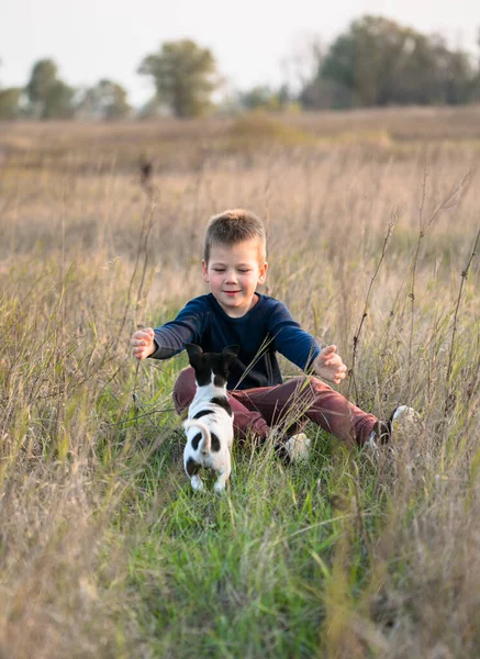 Cute Boy Playing His Dog Meadow Little Puppy Jack Russel — Stock Photo, Image