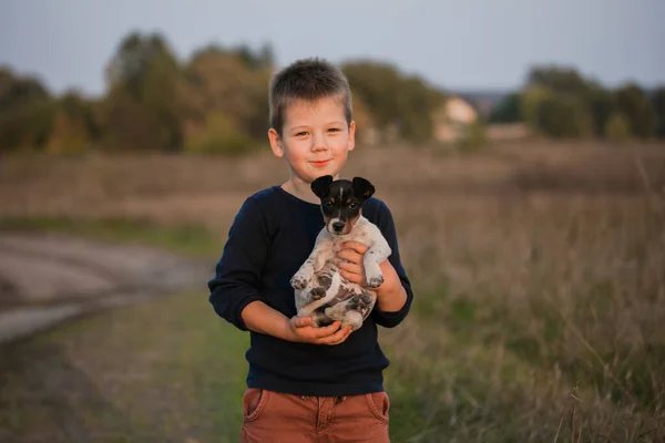 Cute Boy Playing His Dog Meadow Little Puppy Jack Russel — Stock Photo, Image