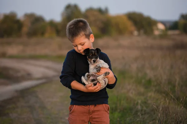 Leuke Jongen Die Met Zijn Hond Wei Speelt Kleine Puppy — Stockfoto