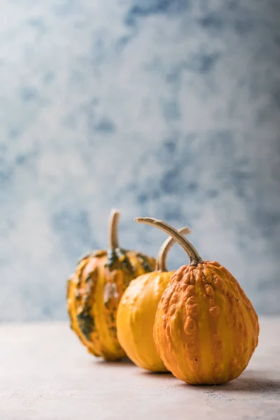 Saftiger Kürbis Auf Pastellblauem Hintergrund Herbst Herbst Halloween Konzept — Stockfoto