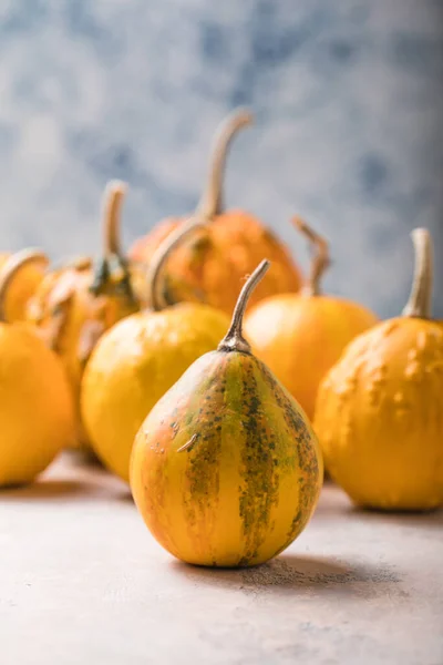 Saftiger Kürbis Auf Pastellblauem Hintergrund Herbst Herbst Halloween Konzept — Stockfoto