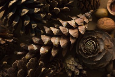 Arkaplan olarak çam kozalaklarını kapat