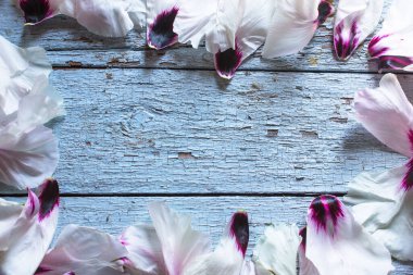 Düğün çiçeği, yukarıdan mavi masadaki şakayık yaprakları. Düzleştirme biçimi