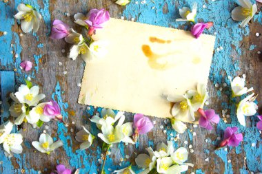 Beyaz ahşap arka planda şenlikli beyaz çiçek yasemini. Genel bakış. Masada çalışan bir kadın. Düz yatış stili.