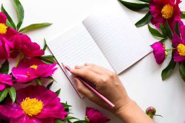 Beyaz yüzeyde şenlikli çiçek kompozisyonu