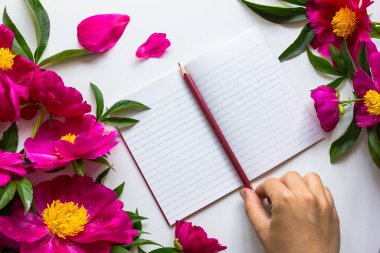 Beyaz yüzeyde şenlikli çiçek kompozisyonu