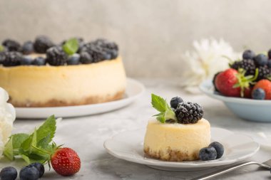 Cheesecake 'in yan görüntüsünü kapat. Sonbahar tatlısı