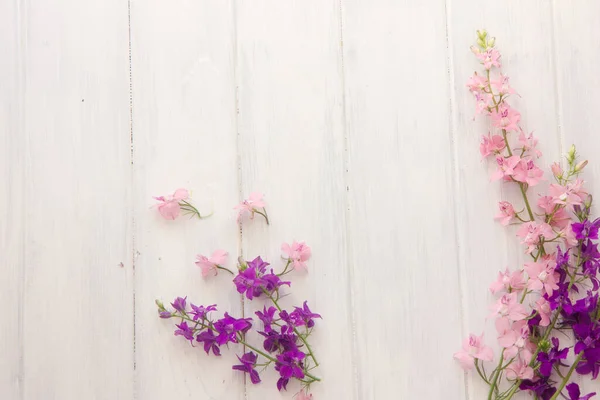 Hermosas Flores Color Rosa Sobre Fondo Madera Blanca —  Fotos de Stock