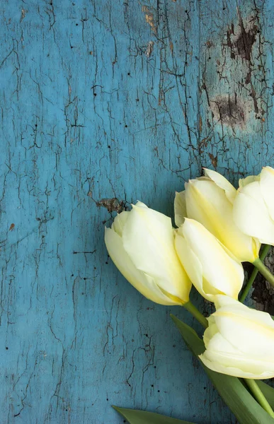 Cadre Fleurs Tulipes Blanches Sur Fond Bois Bleu Vue Supérieure — Photo