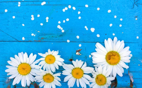 Composition Florale Festive Camomille Fleurs Sur Fond Bois Bleu Vue — Photo