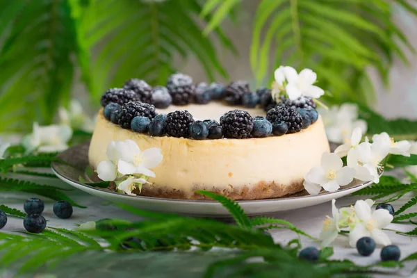 Nahaufnahme Von Käsekuchen Herbstliches Dessert — Stockfoto